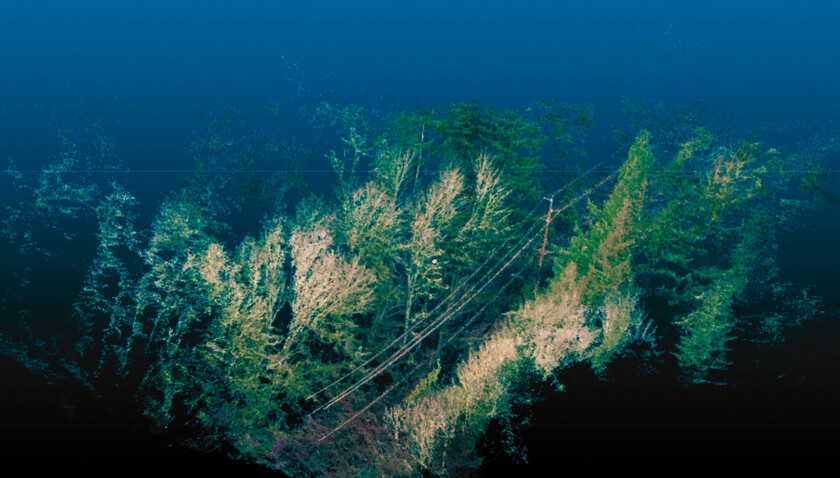 Linear corridor inspection